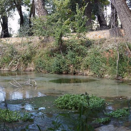 Hostal Rural El Nacimiento Deifontes Kültér fotó