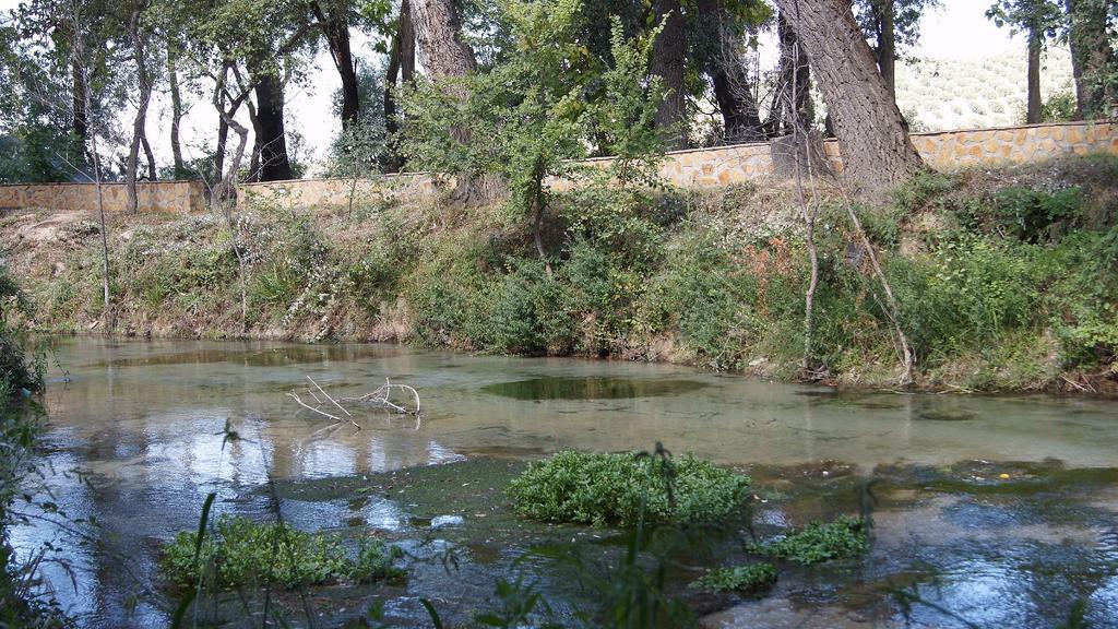 Hostal Rural El Nacimiento Deifontes Kültér fotó