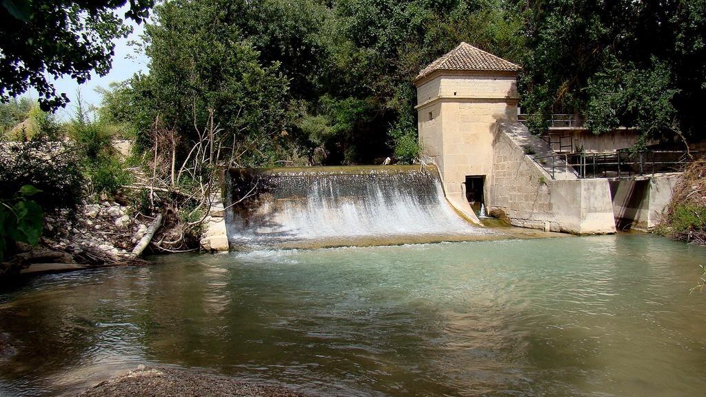 Hostal Rural El Nacimiento Deifontes Kültér fotó