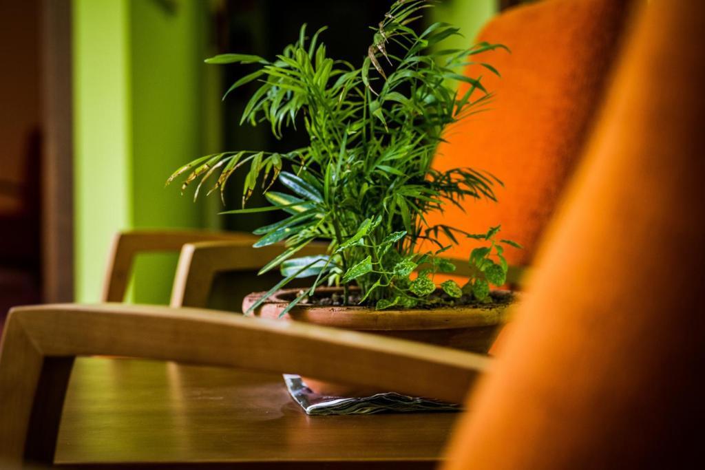Hostal Rural El Nacimiento Deifontes Kültér fotó